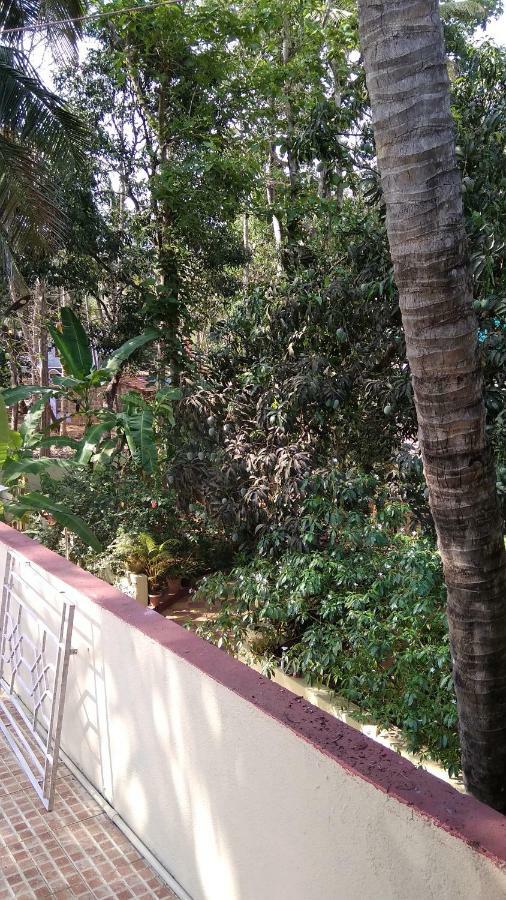 Palolem Apartments Buitenkant foto
